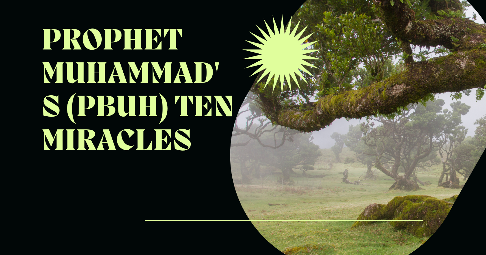 the-miraculous-legacy-of-prophet-muhammad-(pbuh)