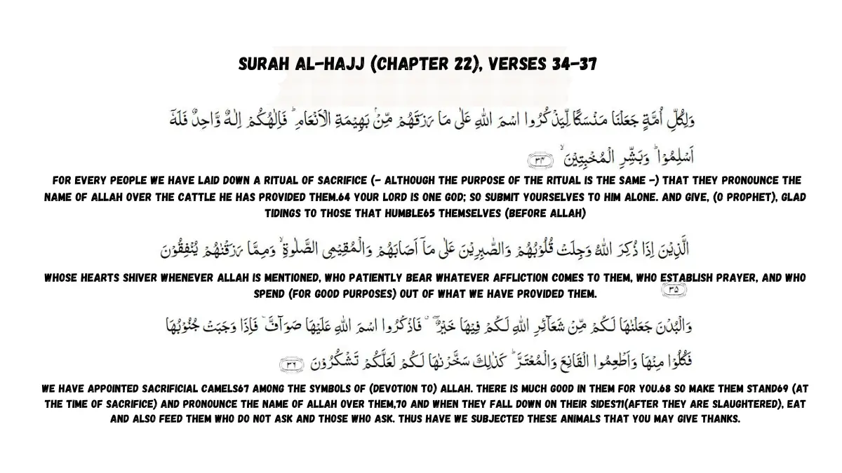 the-spiritual-significance-of-qurbani-in-islam/